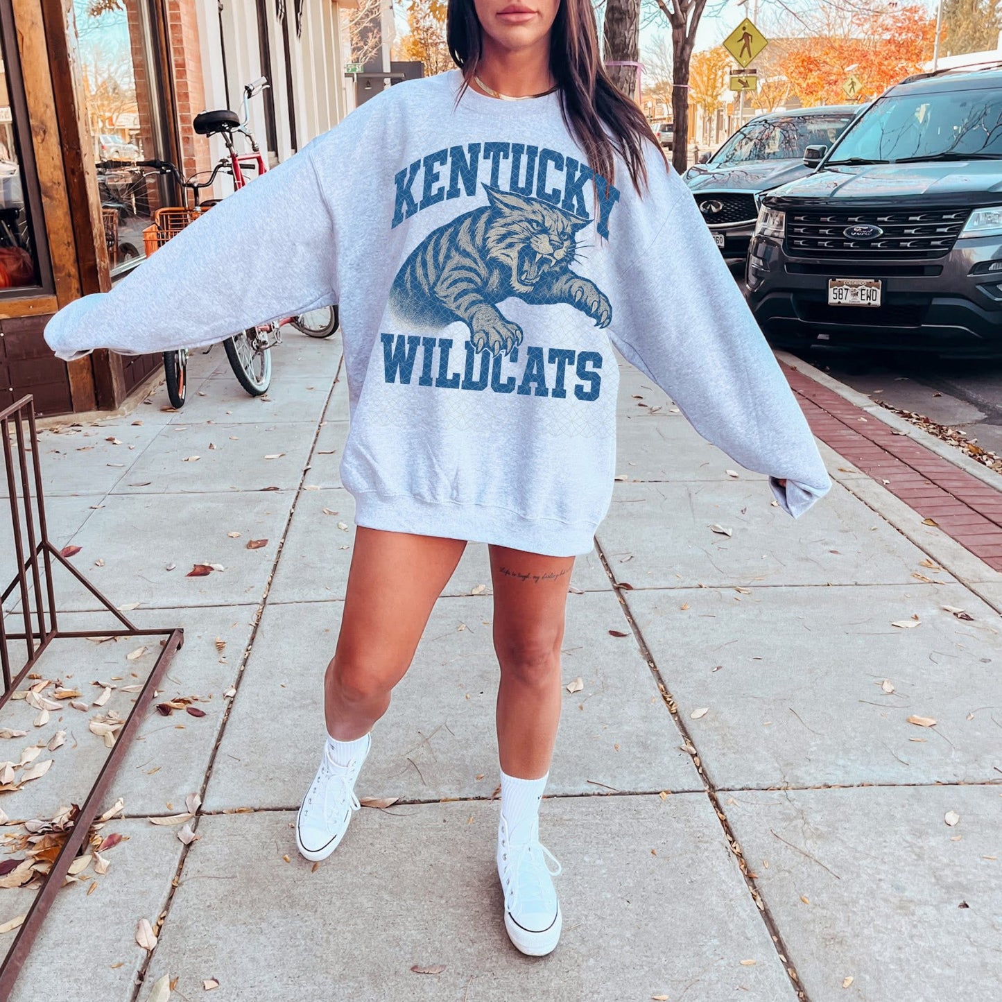 The Vintage Cats Sweatshirt