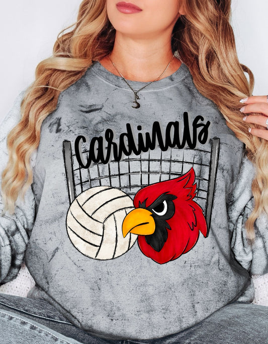 The Cardinals Volleyball net Sweatshirt