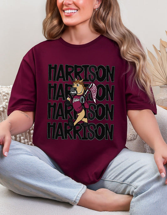The Harrison Horse Mascot